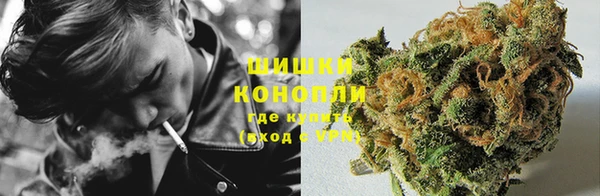 гашик Дмитровск