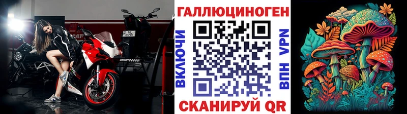 Купить  Павлово  Псилоцибиновые грибы Cubensis 