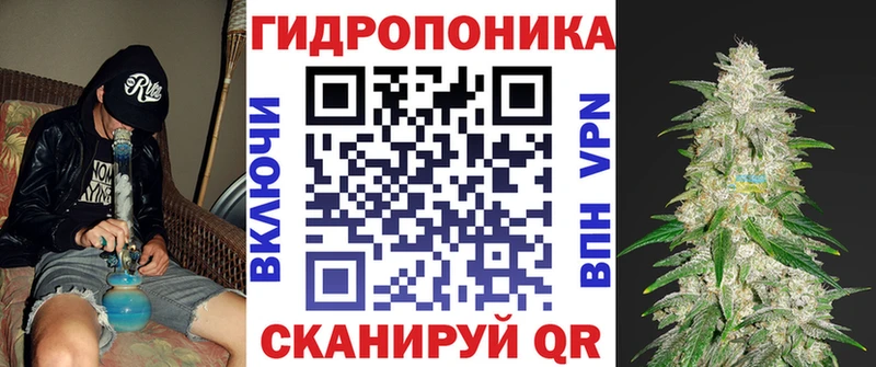 Купить где  Павлово  Канабис план 